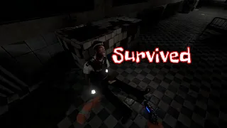 Survived VR Gameplay