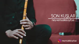 SON KUŞLAR - Yansımalar