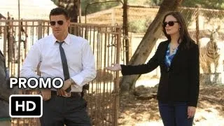 Bones 8x04 Promo "The Tiger In The Tale" (HD)