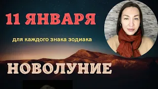 НОВОЛУНИЕ 11 Января 2024. Прогноз для каждого Знака Зодиака / Лариса Даугер #новолуние #гороскоп2024