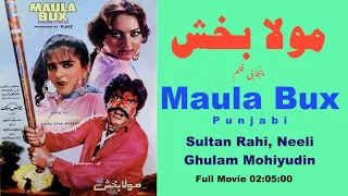 Maula Bux Punjabi Full Movie مولا بخش - Sultan Rahi, Neeli, Nadra, Ghulam Mohiyudin