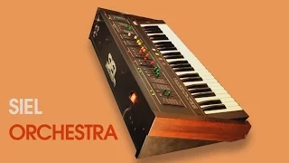 SIEL ORCHESTRA String Machine 1979 | HD DEMO