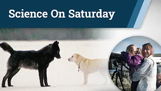 Dogs and humans with Williams Syndrome | Science On Saturday
