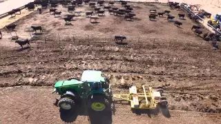 Manure Shaving in action