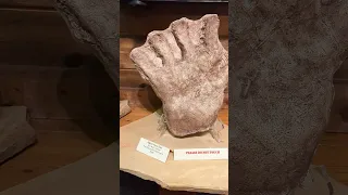 Bigfoot, Yeti & Sasquatch Casts: Expedition Bigfoot Museum In Blue Ridge, Georgia