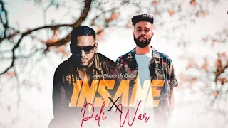 Insane X Peli Waar - (Mashup) AP Dhillon & Imran Khan | | Amit Raneja |