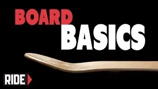 How-To Pick Your Skateboard - BASICS with Spencer Nuzzi