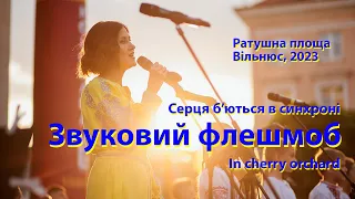 Виступ Марини Пилипенко в День Незалежності України 24.08.2023. Звуковий флешмоб та дві пісні.