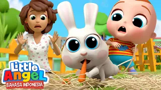 Lucunya Kelinci Binatang Peliharaan Kami 🐰 Kartun Anak | Little Angel Bahasa Indonesi