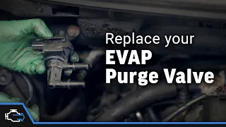 EVAP Purge Valve – 2004-2008 5.4L Ford F-150