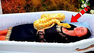 During the funeral, a snake crawled into the coffin. Then something strange happened!