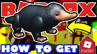 [EVENT] How To Get the Niffler Companion Roblox 2018 Halloween Event - Escape Room Haunted House