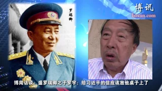 罗瑞卿之子罗宇：给习近平的信应该放他桌子上了