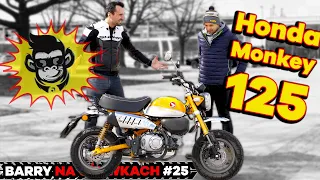 Honda Monkey 125 🐒 Radosne rozpoczęcie nowego sezonu 🐒 Barry na używkach #25