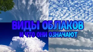 Виды Облаков И Что Они Означают ☁️