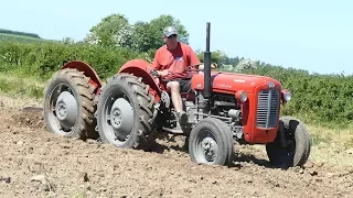 Massey Ferguson 35 "Double Butt" Ploughing w/ 4-Furrow Ferguson Plough | Ferguson Days 2017