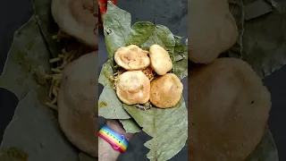 🔥 Kolkata Viral Chhangani Club Kachori.... #debojyotivlogs #newinkolkata