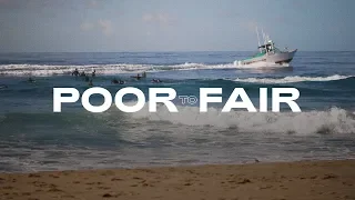 4-6ft Fair Venice Surfing