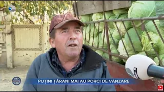 Stirile Kanal D (06.11.2022) - Putin tarani mai au porci de vanzare | Editie de pranz