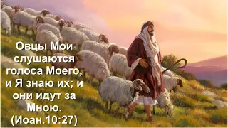 Проповедь. Овцы Мои слушаются голоса Моего... (Служ. церквей Евразии 22.06.2023)