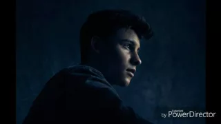 Shawn Mendes - Don't Want Your Love (Audio)