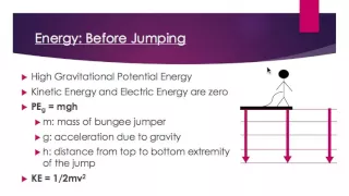The Physics Behind Bungee Jumping