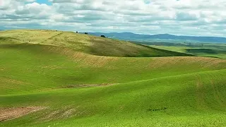 👑ПОКЛОНЕНИЕ Джошуа Миллс Joshua Mills📯