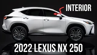 2022 Lexus NX 250 - New Interior Features!