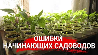 Ошибки начинающих садоводов