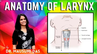 Anatomy of Larynx - Cartilages, Membranes and Ligaments, Joints