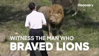 #Lion attacks Man! | #UntamedUncut - Animal Attack Videos| Discovery Channel India