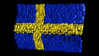 Svensk oversættelse, svensk oversætter, translatør