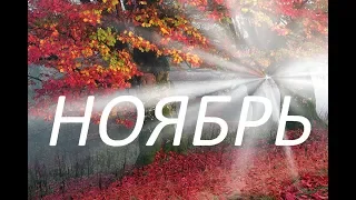 НОЯБРЬ 2019 года - ВЕСЫ