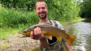 Small Creek Trout fishing. INCREDIBLE DAY! (Multiple BIG fish)