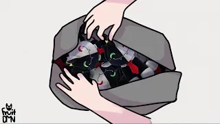 A Bag Of Ranboo Plushies. ranboo animatic