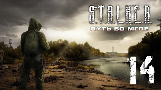 S.T.A.L.K.E.R.: Путь во мгле || #14 - Дом на болоте