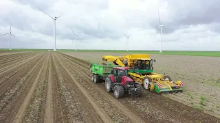 Aardappels rooien in de Flevopolder okt 2023