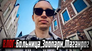 Возвращение из больницы / Диета / Зоопарк / Прогулка по Таганрогу | 📹 ВЛОГ: 05.05.2024