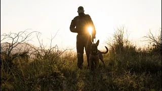 Wildlife Ranger Challenge X Working Dogs for Conservation