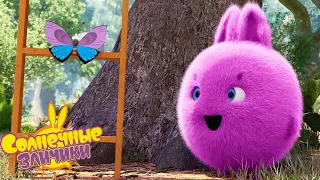 Особая бабочка - Солнечные зайчики | Сборник мультфильмов для детей