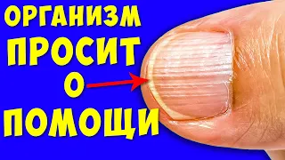 Необратимые процессы Дефицита белка, Не игнорируйте эти Симптомы! Что делать и как избавиться