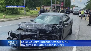 Lake County, Indiana officer, K9 involved in fatal crash in Gary