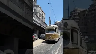 The Alexandria Tram never goes out of style