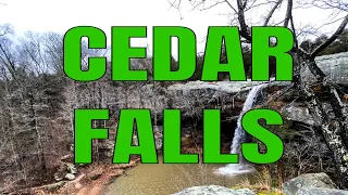 Camp Ondessonk Chronicles: Cedar Falls