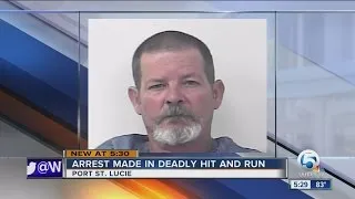 Arrest made in deadly hit and run