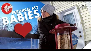 Feeding The Birds AKA: My Babies (Winter Vlog)