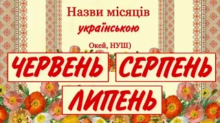 Гра- розвага « ЛІТНІЙ КАЛЕНДАР»/Дивись і вивчай - назви місяців з  поясненням , Окей, НУШ)