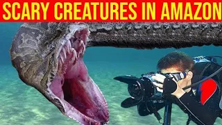 10 Most Scariest Creatures In The Amazon