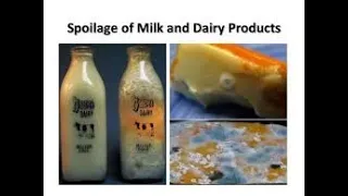 Spoilage of Milk Products (1.30): Dr. PK Mandal