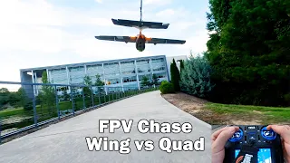 FPV Chase - Wing vs Quad - Shelby Voll HeeWing T1
